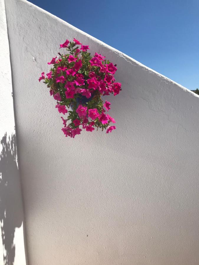 Bonita Casa Adosada Empuriabrava Esterno foto